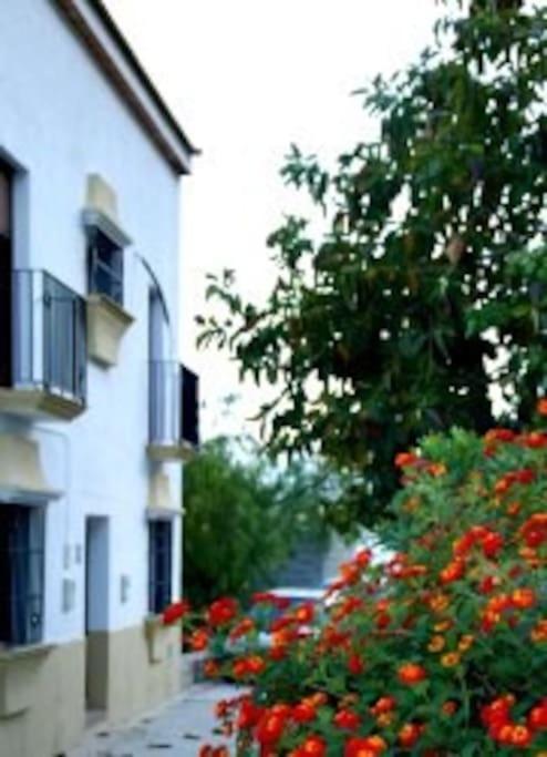 Eagles Nest - Massive Townhouse With Pool With Outstanding Views Βίλα Algodonales Εξωτερικό φωτογραφία